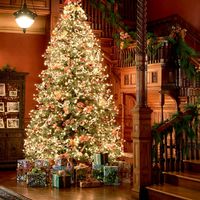 christmasholidaysforyou