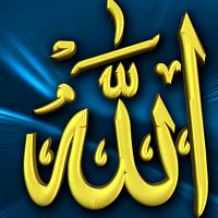 alamsiwani785