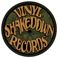 vinylshakedown
