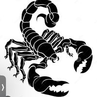 51lorenzoscorpions51