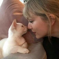 big yellow taxi harry styles cover