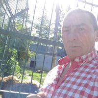 dorindoru29