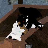 der_wolf_bleibt_wach_