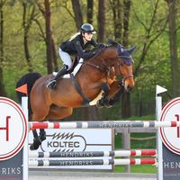runereynders.showjumping