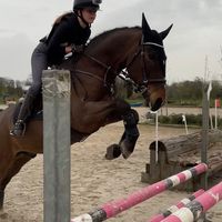 equipien