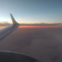 privvsofi__