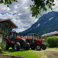 steyrfohra_8060