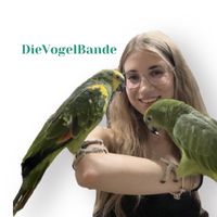 dievogelbande.ofc