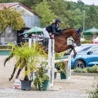 original sound - luna.wrb_