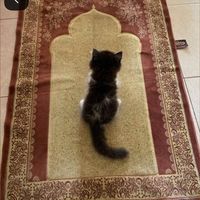 islamreminder34