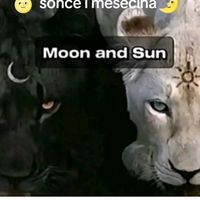 meryem.merima