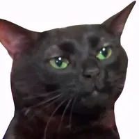 original sound - shorts2chat