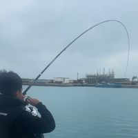 原聲 - 澎湖囝仔😏