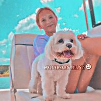 blueberry.lillyz
