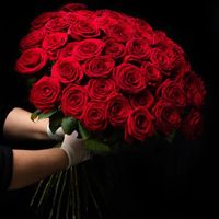 πρωτότυπος ήχος