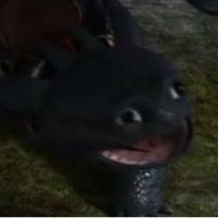 _m.dragons_