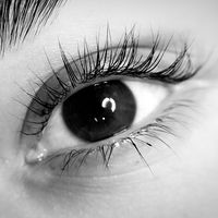 __annare__