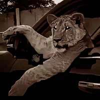 original sound - _mohammad_stgtt