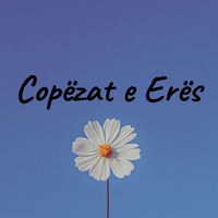 copezat.eeres