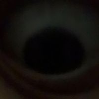 moretongoth