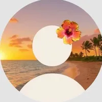 original sound - velositions