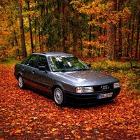audi_80_b3_rico