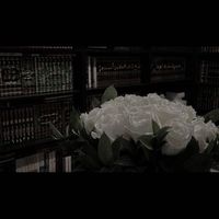 veiled..niqabii