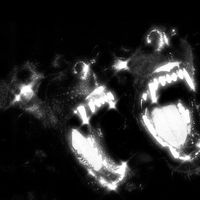 los_perros_callejeros