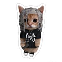 Wszystko Jedno Hoodtrap