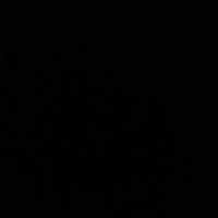 bleon_369
