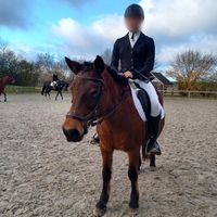 lieblingspony_biene