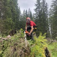 andi_tasch