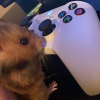 sophiie.r6