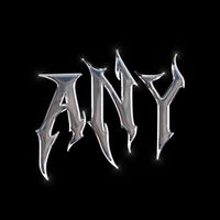 anysetup