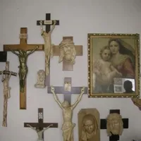 alligator skin boots