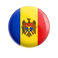 paulowniacotevisamoldova