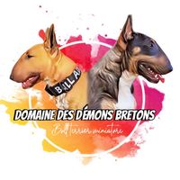 domainedesdemonsbretons