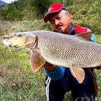 original sound - zsoltbenzar