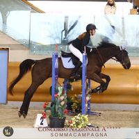equestriaan.emma