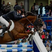 original sound - horse.show.editzz