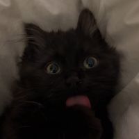 original sound - mihysu