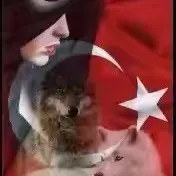 original sound - 01_adana_077