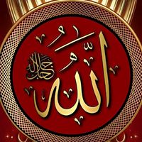 original sound - ACCOUNT. FOR. SELE