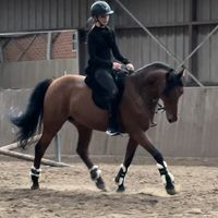 equi_daikademon