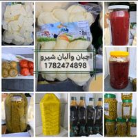 shero_kurdi366