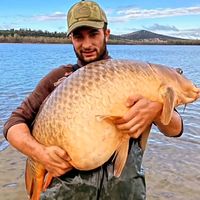 aaronalvarezcarpangler01