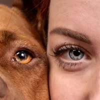 original sound - uzzlagio