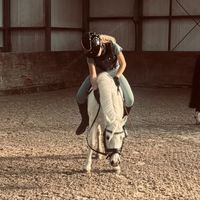 juliette.spam.paarden