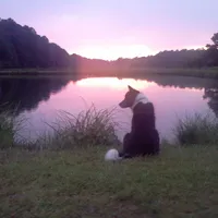 this sound is sad but you should follow me