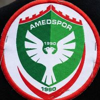 selo_amedli21